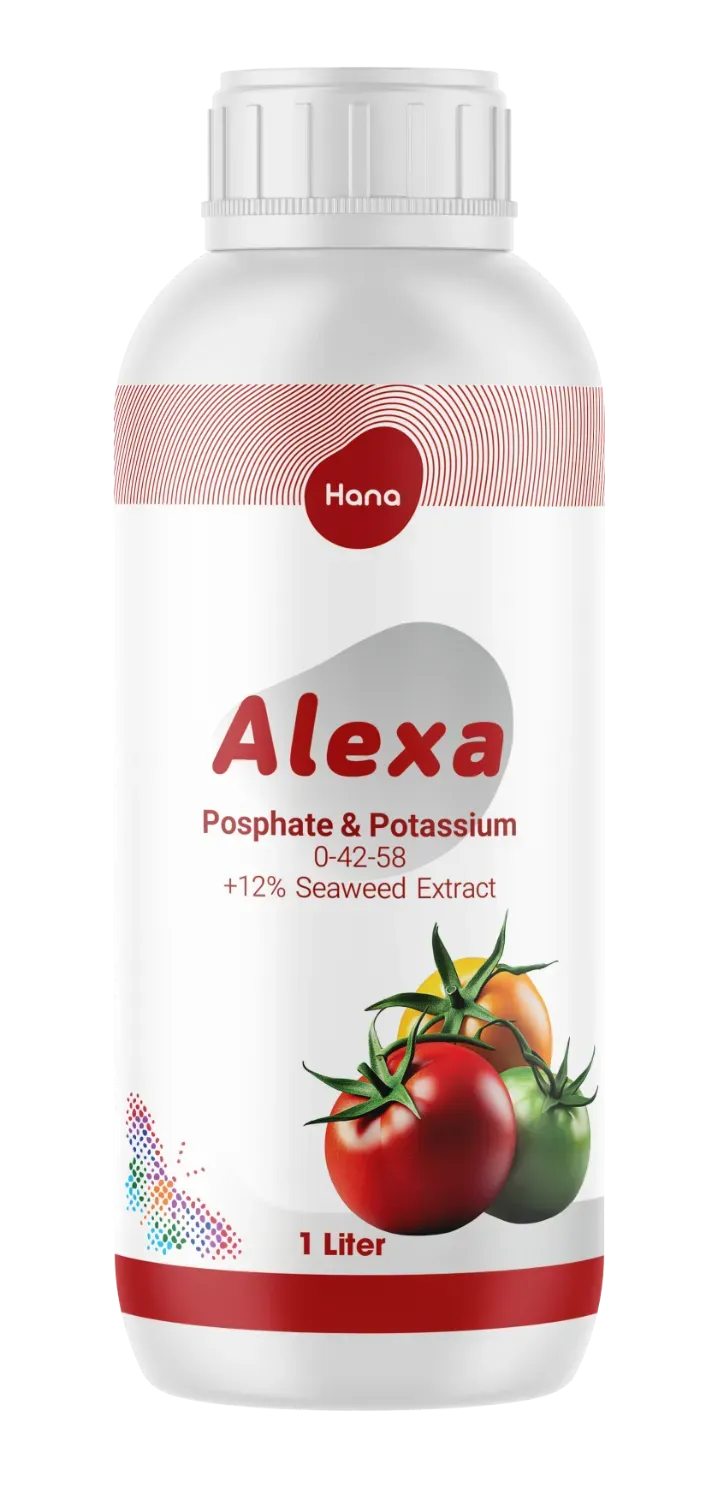 الکسا یک لیتری