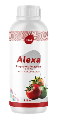 الکسا یک لیتری