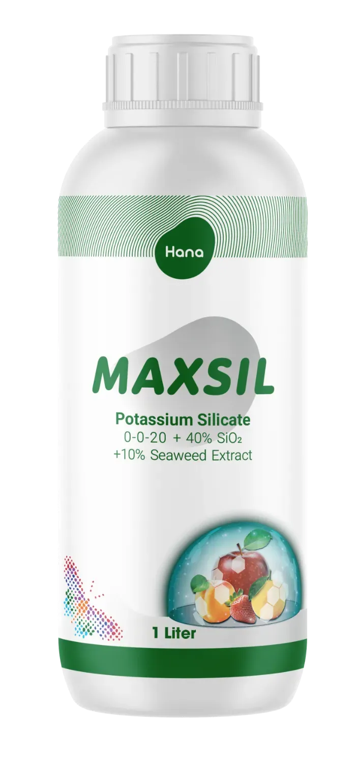 مکسیل یک لیتری