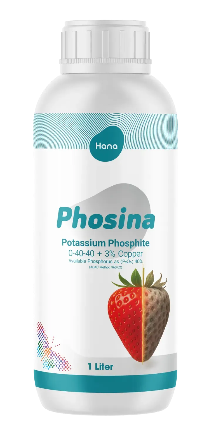 فسینا یک لیتری