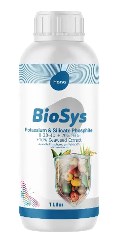 بایوسیس یک لیتری